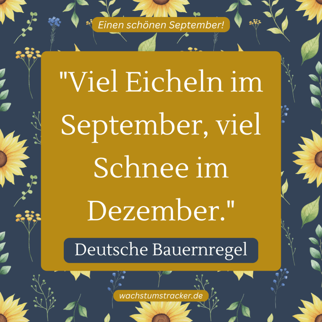 „Viel Eicheln im September, viel Schnee im Dezember.“ – Deutsche Bauernregel