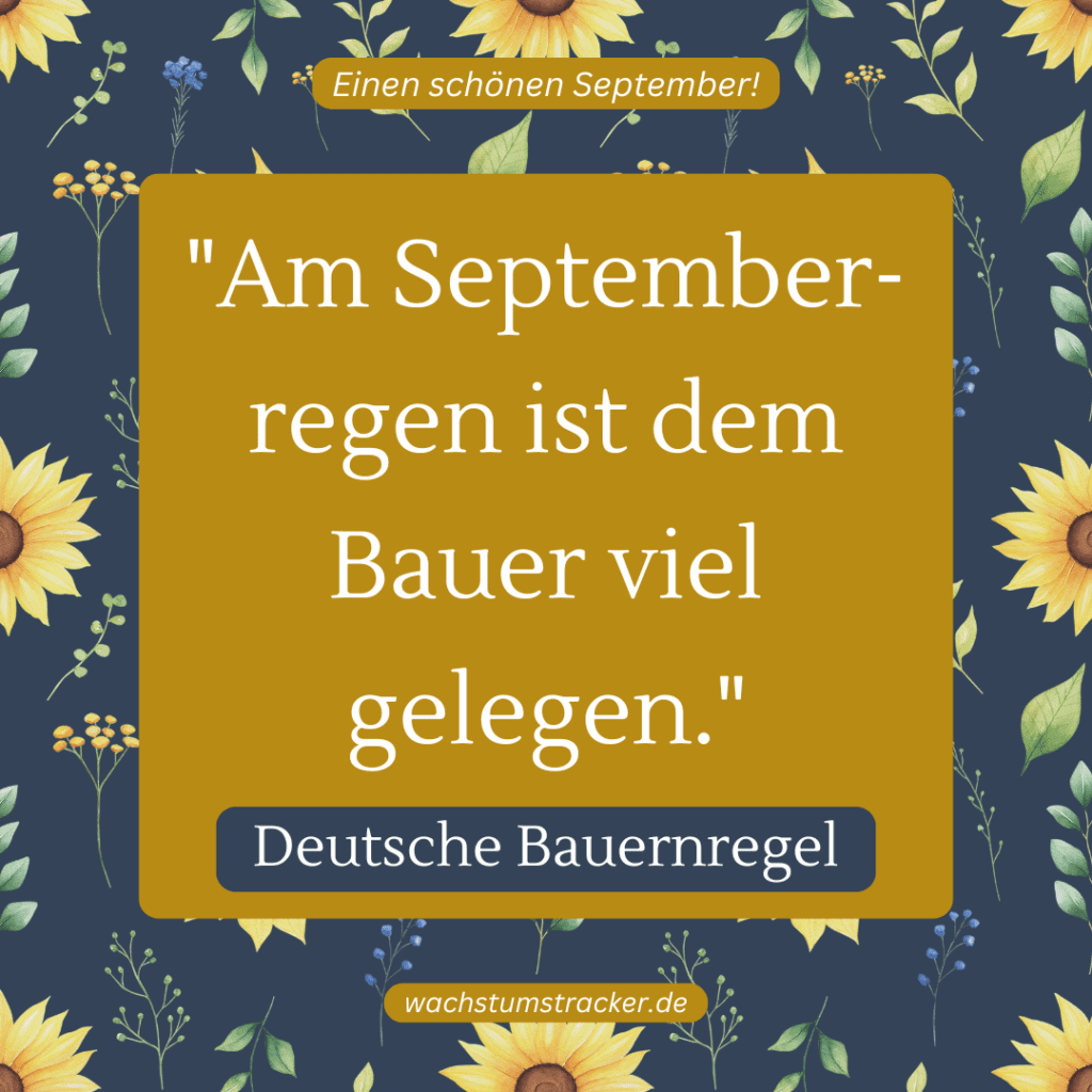 „Am Septemberregen ist dem Bauer viel gelegen.“ – Deutsche Bauernregel