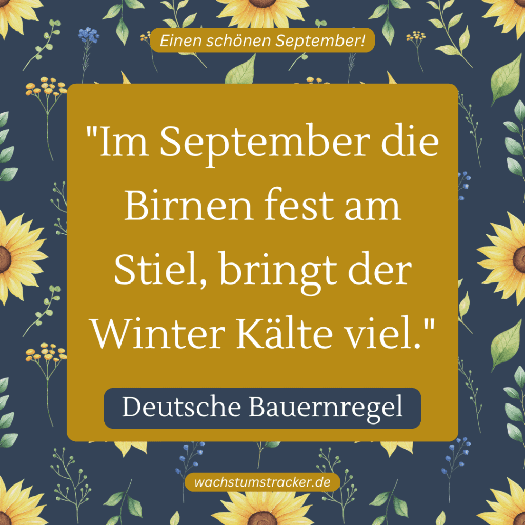 „Im September die Birnen fest am Stiel, bringt der Winter Kälte viel.“ – Deutsche Bauernregel