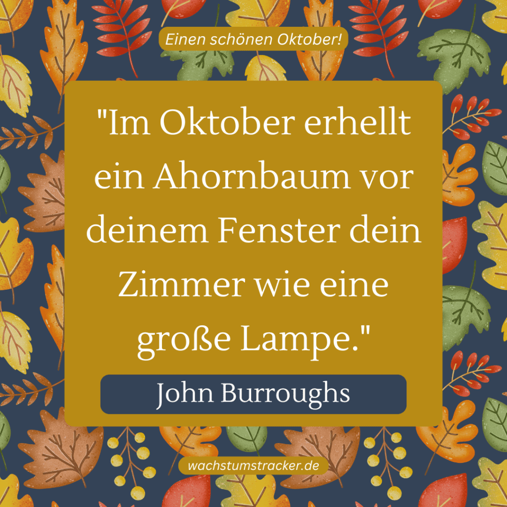 „Im Oktober erhellt ein Ahornbaum vor deinem Fenster dein Zimmer wie eine große Lampe.“ – John Burroughs