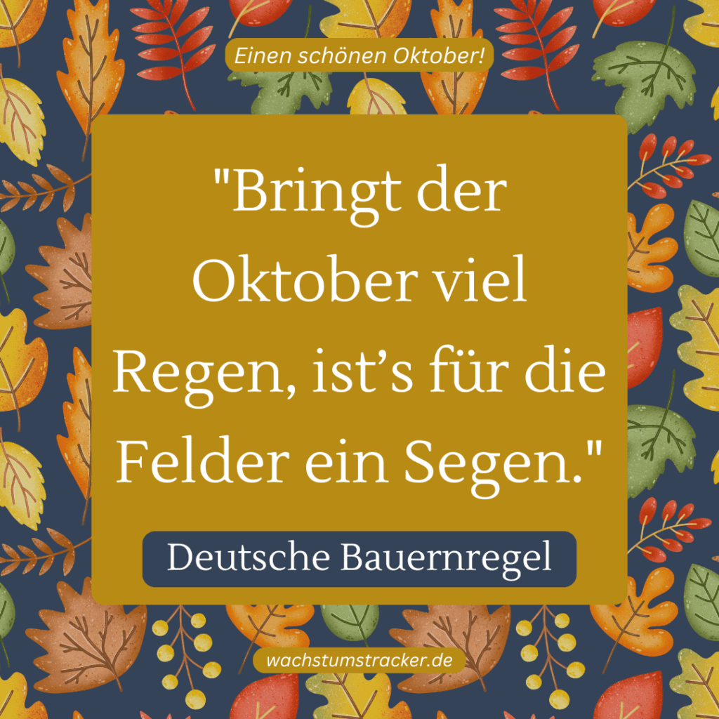 „Bringt der Oktober viel Regen, ist’s für die Felder ein Segen.“ – Deutsche Bauernregel